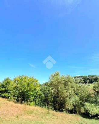 TER. AGRICOLO A STIMIGLIANO