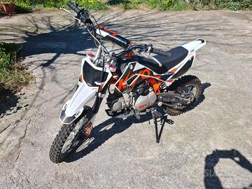 kayo pitbike 125 td