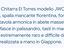 Immagine 1