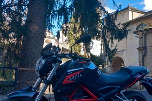Benelli bn251