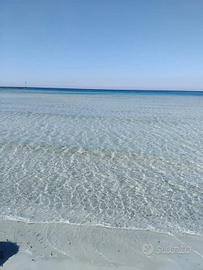 CASA VACANZA X8 + 1 Cane piccola taglia