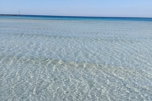 CASA VACANZA X8 + 1 Cane piccola taglia