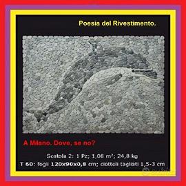 Ciottoli di fiume, DELFINO x la vasca.