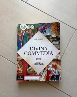 Divina Commedia, libro di letteratura italiana