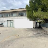 Capannone con ufficio, bagno e ampio piazzale