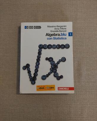 Algebra blu 1 - Zanichelli