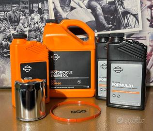 Kit manutenzione filtro olio cromato Harley Davids