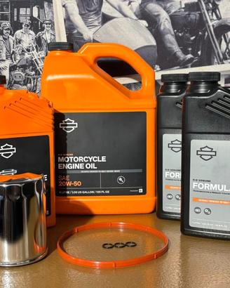 Kit manutenzione filtro olio cromato Harley Davids
