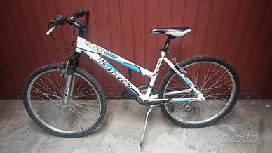 Mountain bike 24 Bottecchia