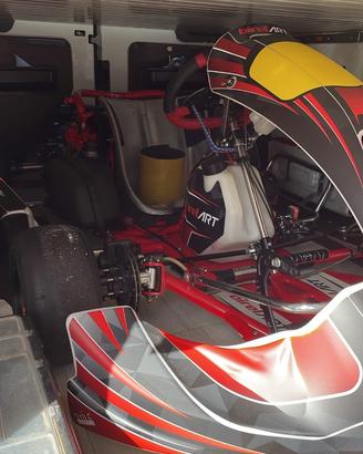 Go kart Dd2 birel