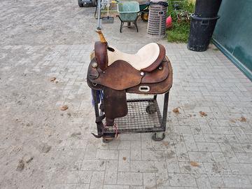 westwood 15,5 pollici quarter 