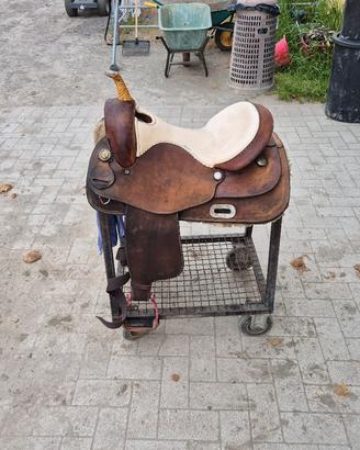 westwood 15,5 pollici quarter 