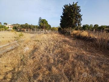 Terreno agricolo zona margine rosso