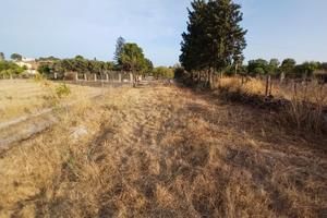 Terreno agricolo zona margine rosso