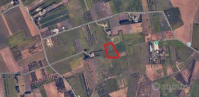 Vendita terreno agricolo