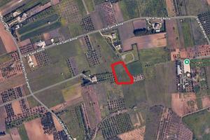 Vendita terreno agricolo