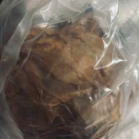 Turbina Volvo C30 eDrive 1600 d / Ford