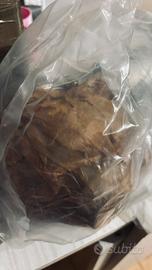 Turbina Volvo C30 eDrive 1600 d / Ford