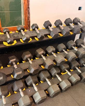 Multifunction Rack - MR50 and weights