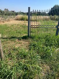 Terreno agricolo aurelia