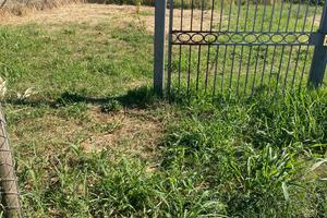 Terreno agricolo aurelia