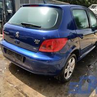 PEUGEOT 307 2.0 HDi 107CV 00-12 -Ricambi