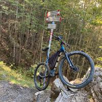 Bici mtb in titanio