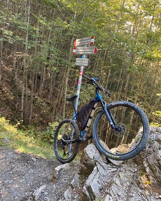 Bici mtb in titanio