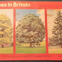 ALBUM DI FIGURINE - BROOKE BOND - TREES IN BRITAIN