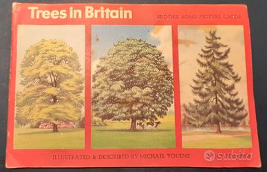 ALBUM DI FIGURINE - BROOKE BOND - TREES IN BRITAIN