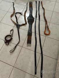 ACCESSORI EQUITAZIONE 