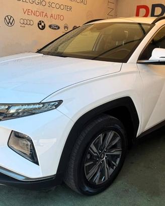 Hyundai Tucson III 1.6 hev Xline 2wd auto