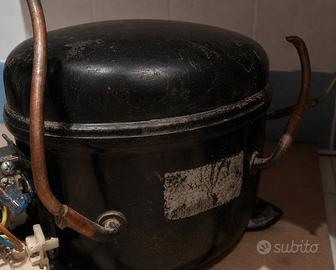 motore compressore frigo