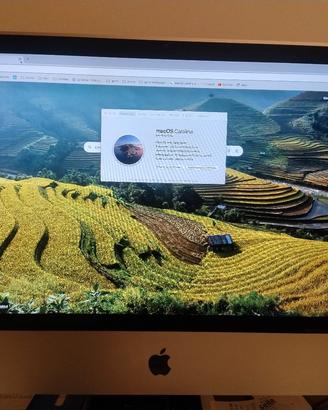 imac 24 ssd