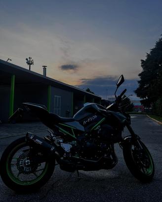 kawasaki z900 a2 2024 performance kit