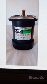 Motore elettrico asincrono