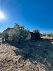 Rustico con terreno a Tortolì