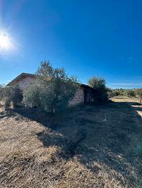 Rustico con terreno a Tortolì