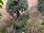 Immagine 14