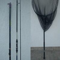 Coppia Canne Maver Record Carp 360