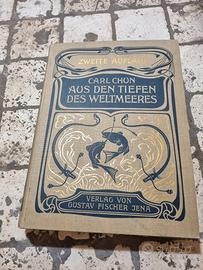 (Art Nouveau tedesca) del libro "Aus den Tiefen de
