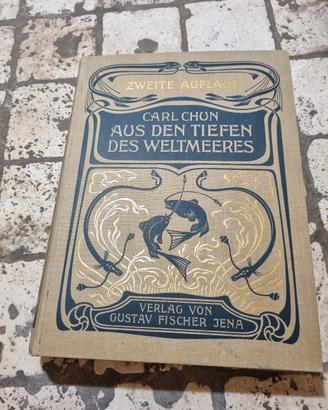 (Art Nouveau tedesca) del libro "Aus den Tiefen de