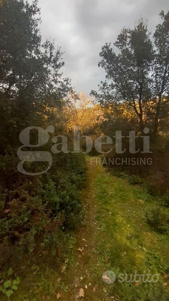 San Basilio, terreno agricolo di 3270 mq - Altro