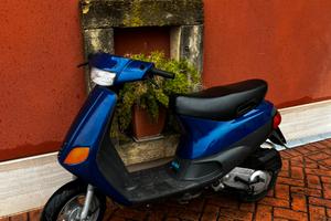 zip piaggio fast rider