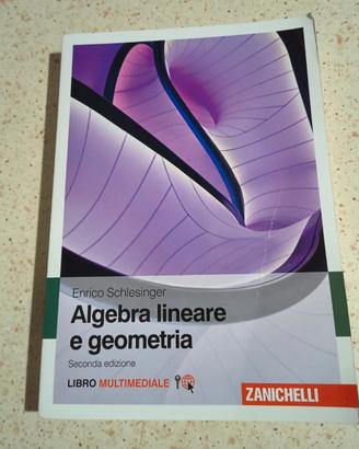 Algebra lineare e geometria - Schlesinger