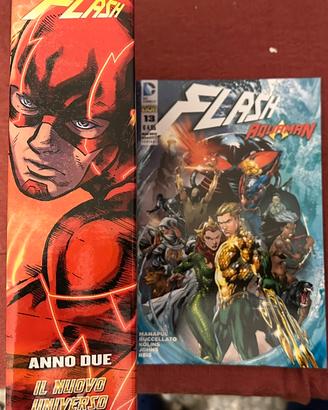 Albo Flash 13 Variant  con cofanetto raccoglitore