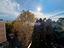 Immagine 19