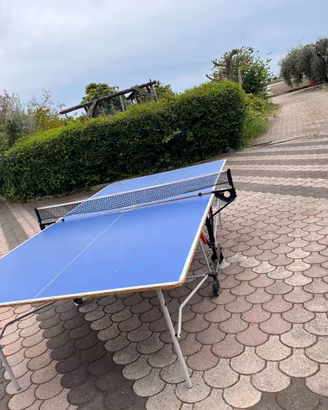 Tavolo da ping pong