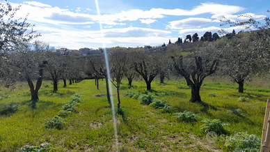 Terreno edificabile ed agricolo