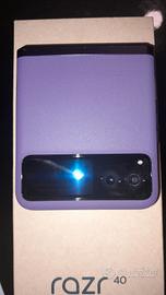 motorola razr 40 dicembre 2024